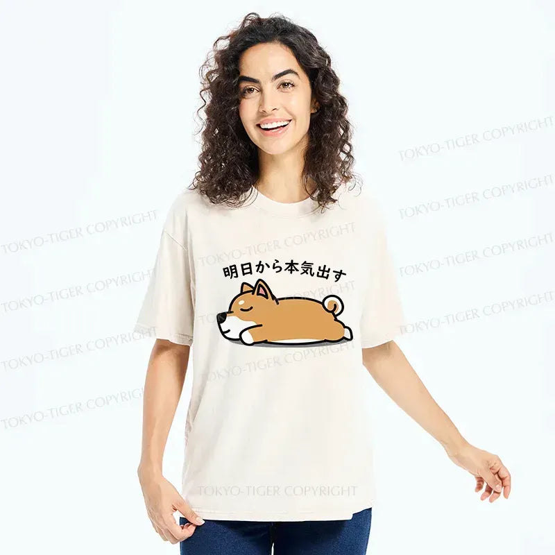 kyoto lion vintage streetwear tee