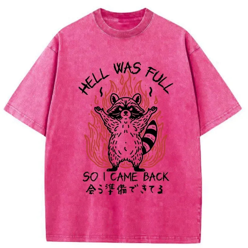 Kyoto Lion hell was full washed t-shirt