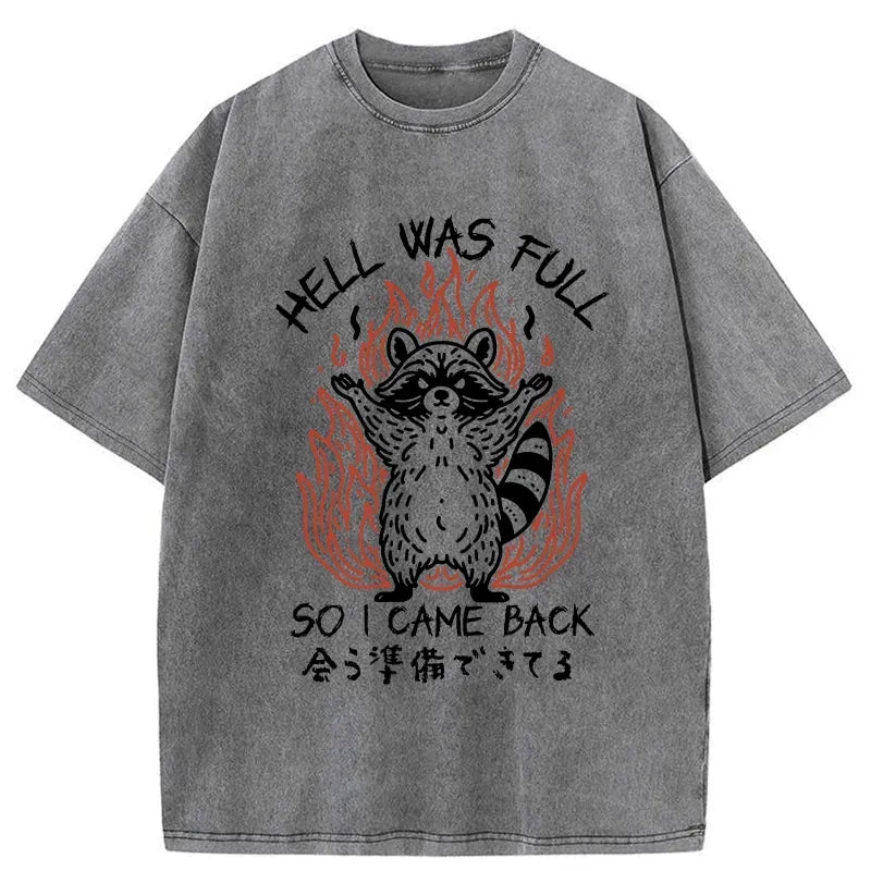 Kyoto Lion hell was full washed t-shirt