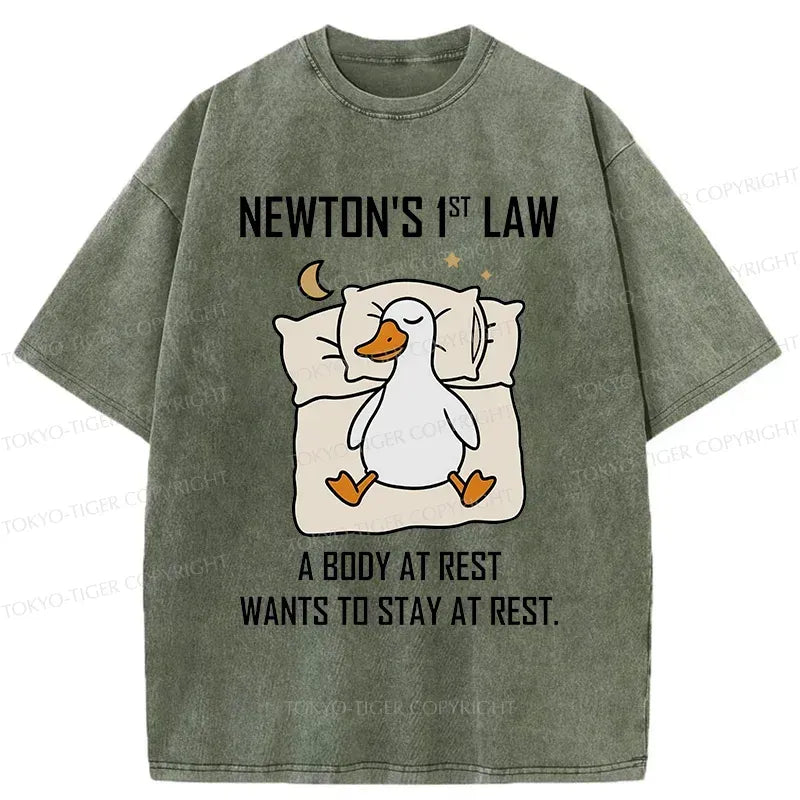 Kyoto-Lion Sleeping Duck funny Washed T-Shirt