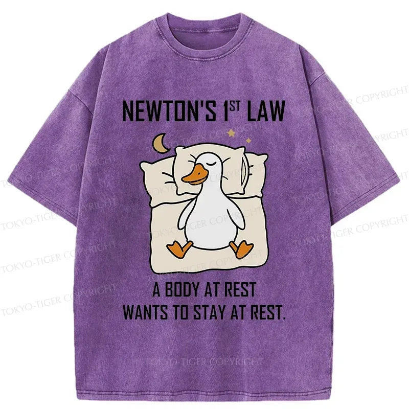 Kyoto-Lion Sleeping Duck funny Washed T-Shirt