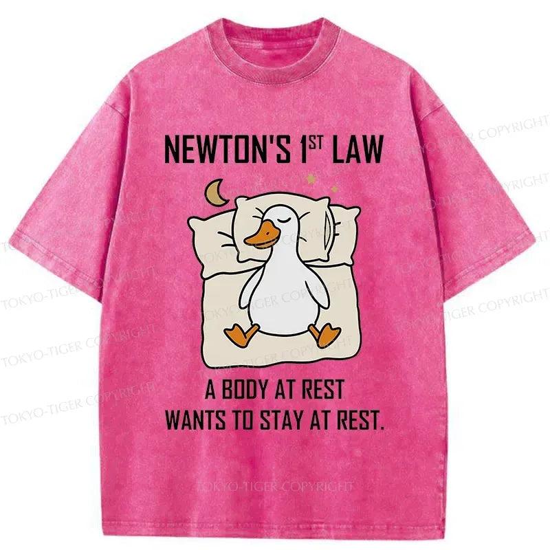 Kyoto-Lion Sleeping Duck funny Washed T-Shirt