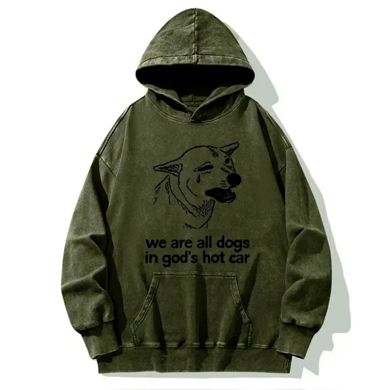 Kyoto-Lion Sad Dog Funny Washed Hoodie