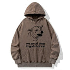 Kyoto-Lion Sad Dog Funny Washed Hoodie