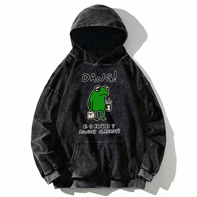 Kyoto-Lion Is It Already Monday Washed Hoodie
