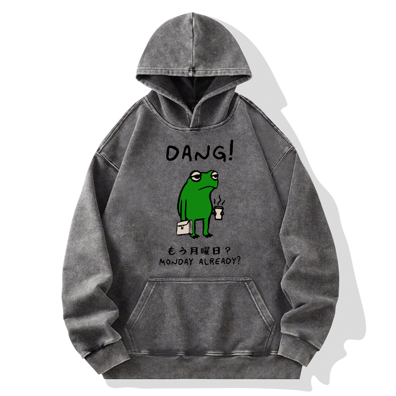 Kyoto-Lion Is It Already Monday Washed Hoodie