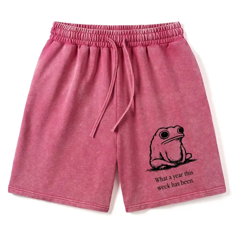 Kyoto-Lion washed shorts with free shipping