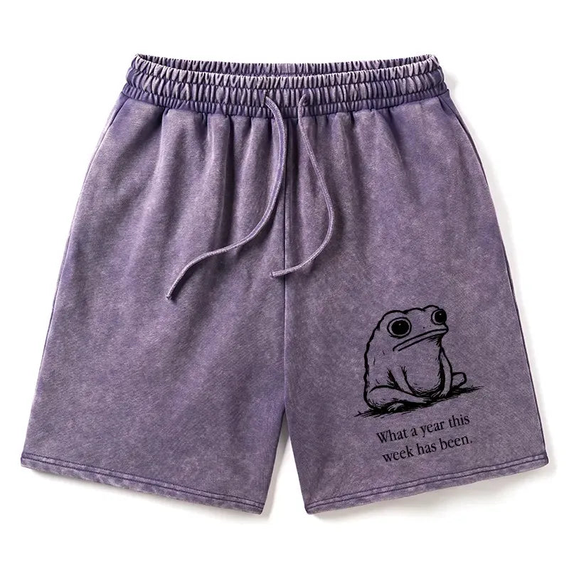 Kyoto-Lion This Week Feels Like A Whole Year Washed Shorts