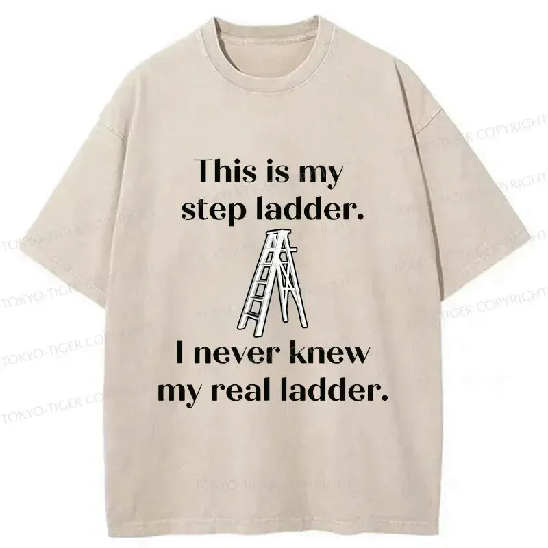 kyoto lion funny washed t-shirt for everyday wear