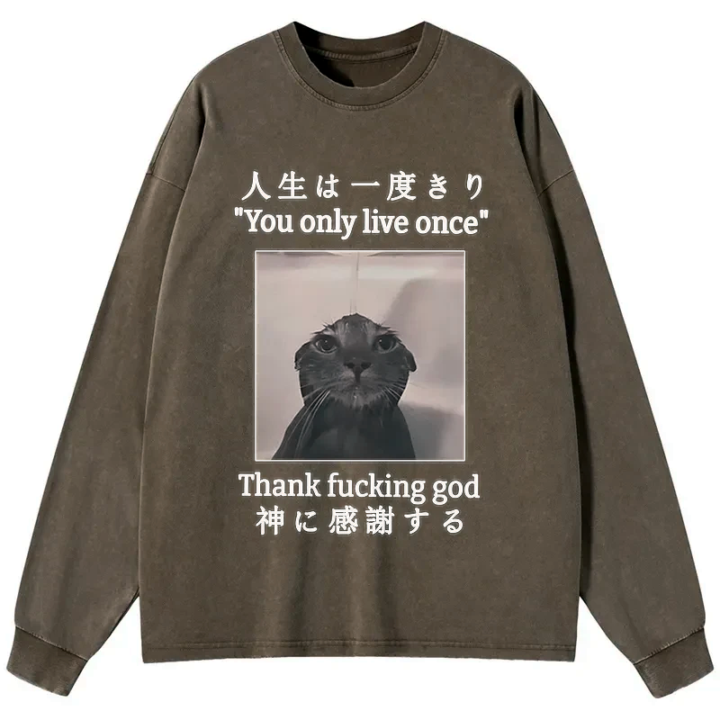 Japanese Funny Cat Washed Long Sleeve T-Shirt