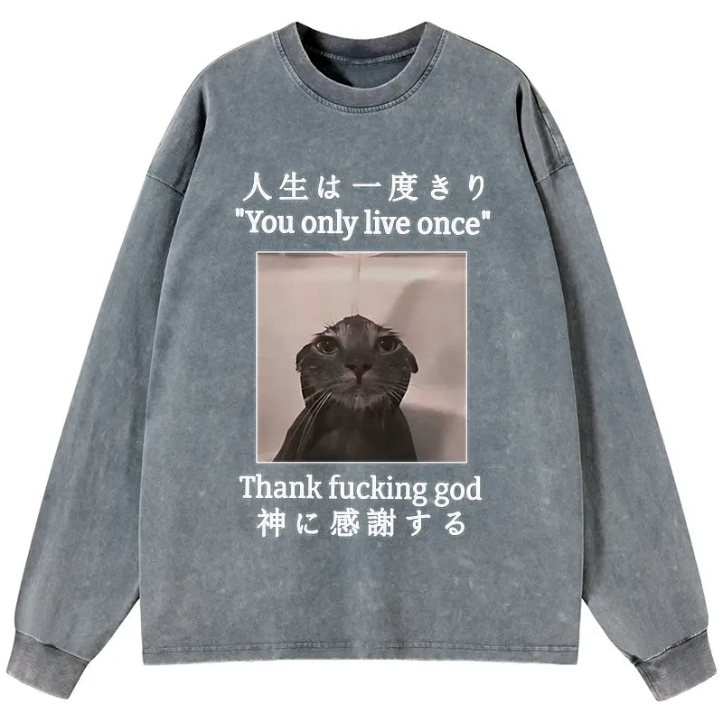Kyoto-Lion Funny Melancholy Cat Washed Long Sleeve T-Shirt