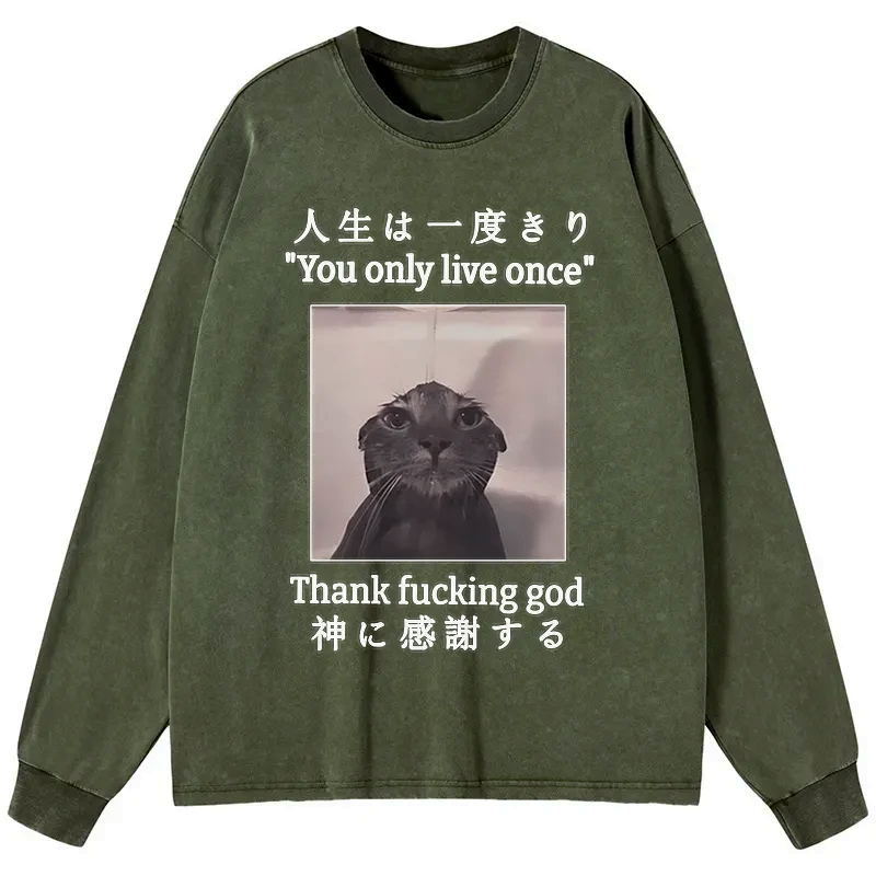 Japanese Funny Cat Washed Long Sleeve T-Shirt
