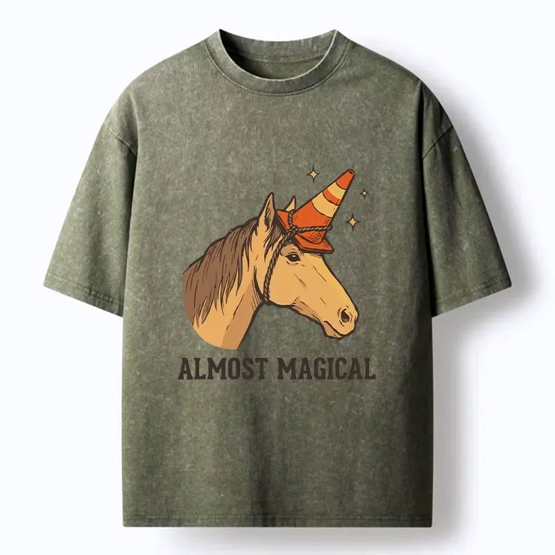 Kyoto-Lion Silly Horse Trying To Be Magical Washed T-Shirt