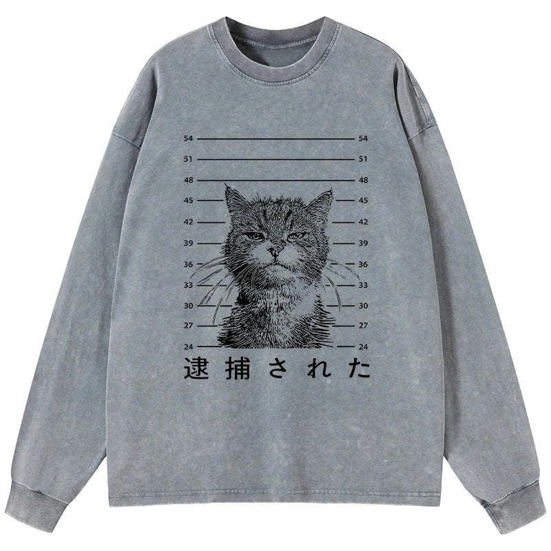 Kyoto-Lion Cat That Was Arrested Washed Long Sleeve T-Shirt