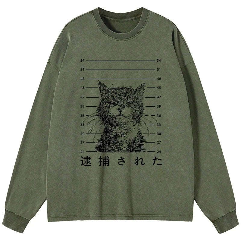 vintage kyoto lion washed t shirt for men