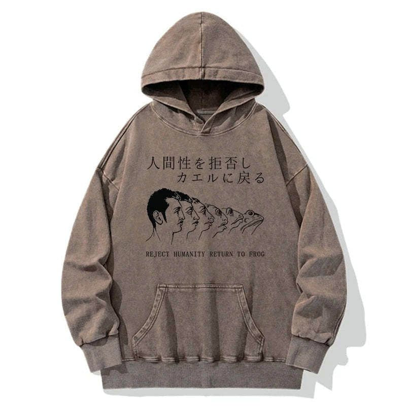 Kyoto-Lion Return To Frog Washed Hoodie
