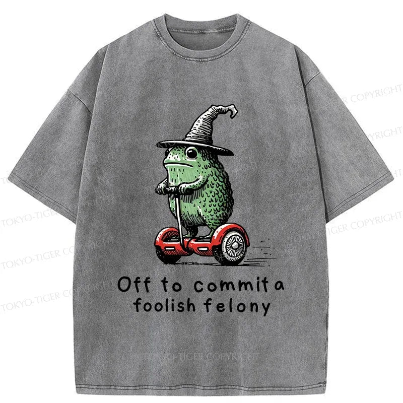 Kyoto-Lion Japan Frog Riding A Balance Scooter Washed T-Shirt