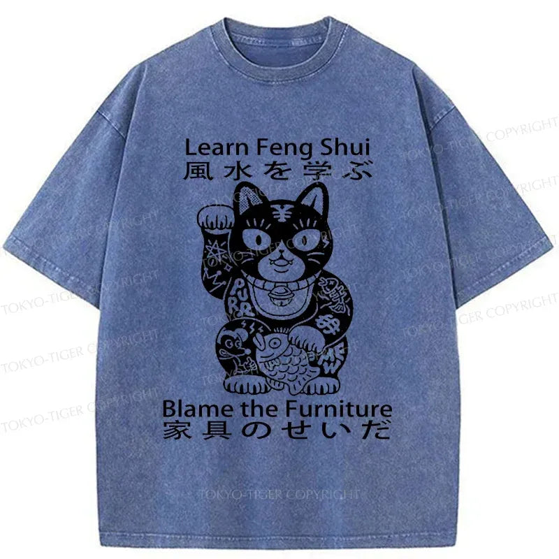 Kyoto-Lion Learn Feng Shui Washed T-Shirt