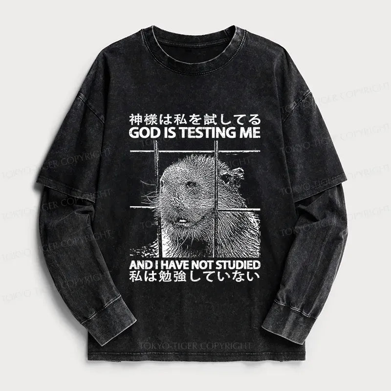 Kyoto-Lion God Is Testing Me Washed Double Layer T-Shirt