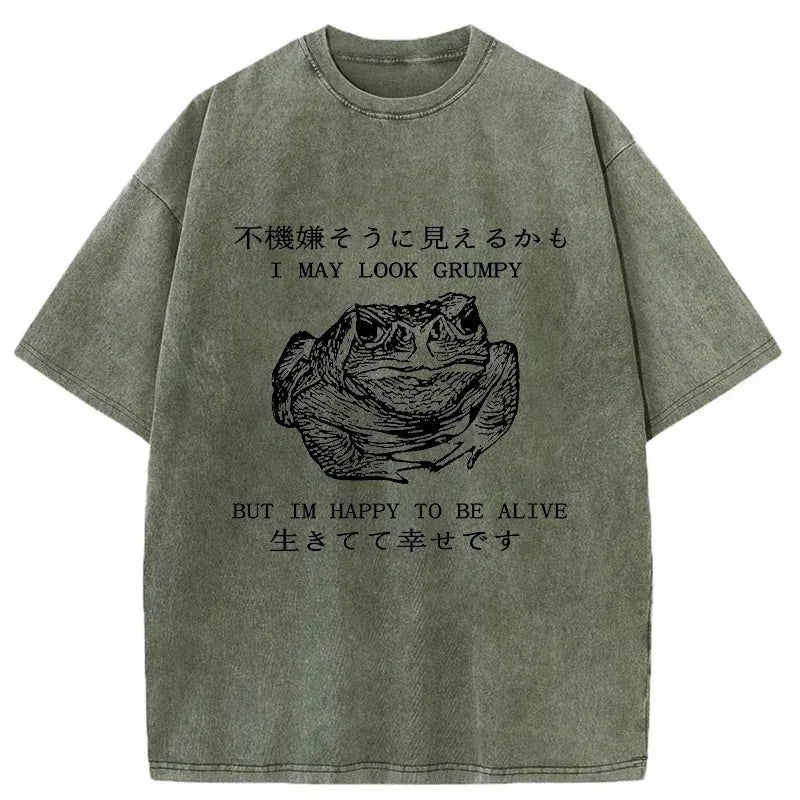 Kyoto-Lion Emotionally Calm Frog Washed T-Shirt