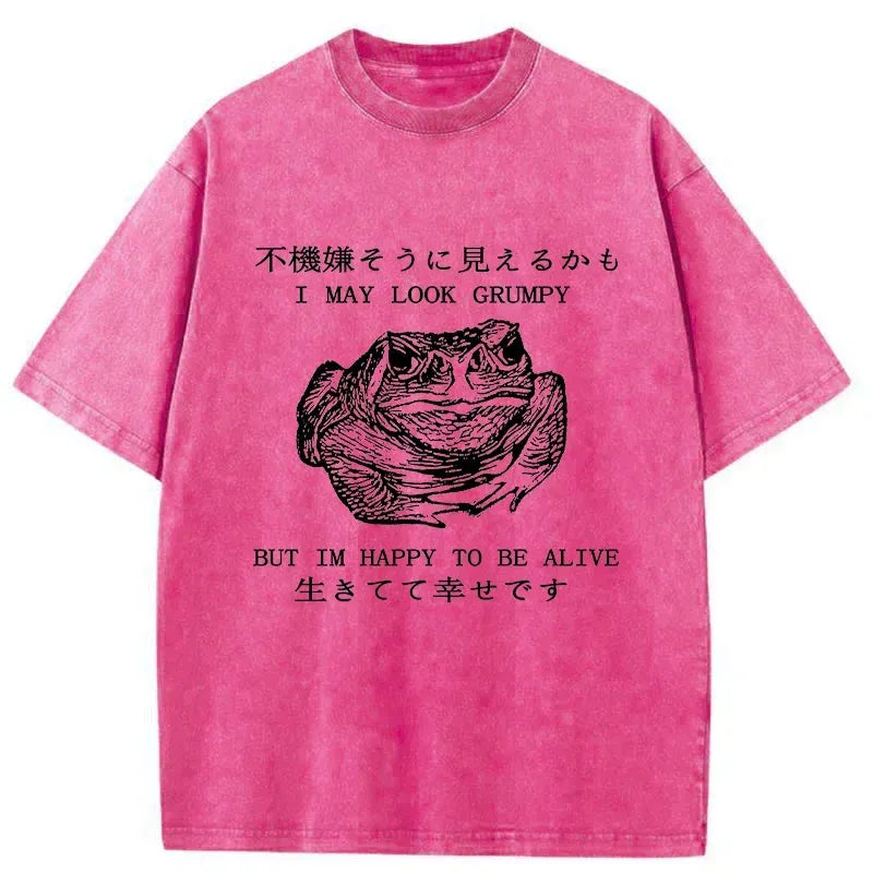 Japanese Calm Frog Washed T-Shirt