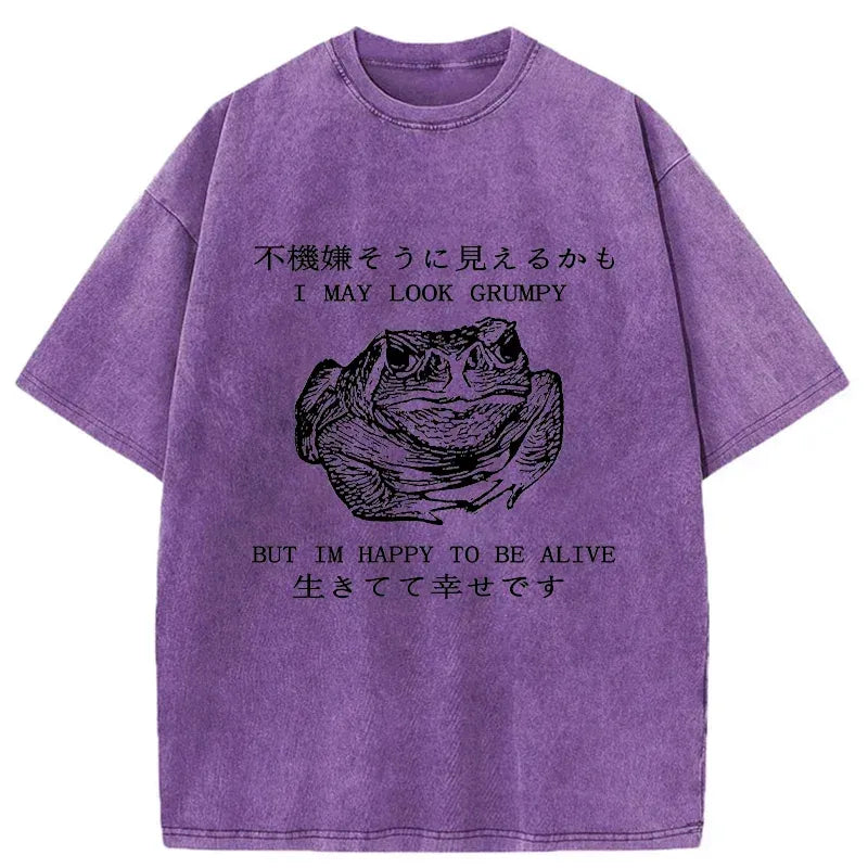 Kyoto-Lion Emotionally Calm Frog Washed T-Shirt