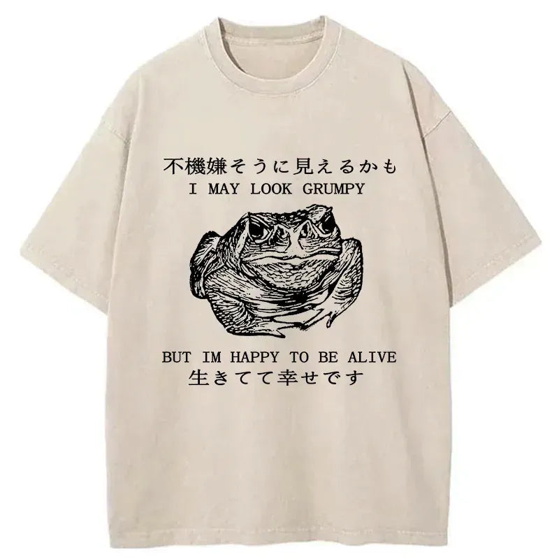 Vintage Japanese Frog T-Shirt for Summer