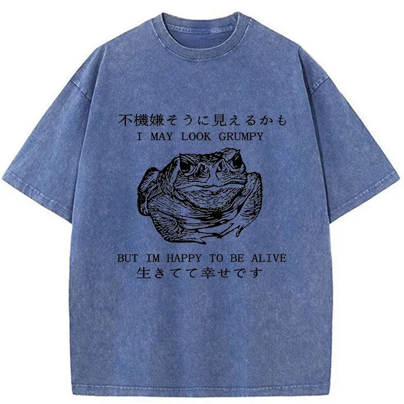 Vintage Japanese Frog T-Shirt for Summer