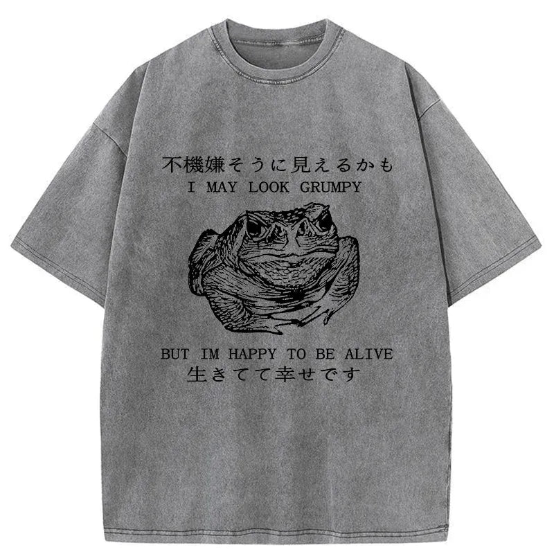Vintage Japanese Frog T-Shirt for Summer