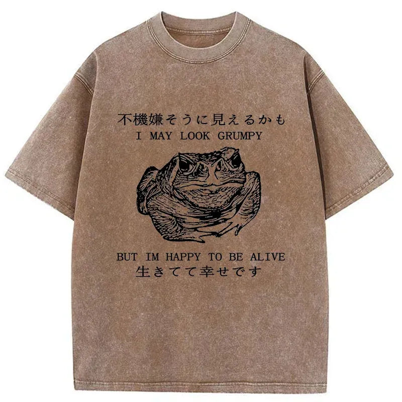 Kyoto-Lion Emotionally Calm Frog Washed T-Shirt