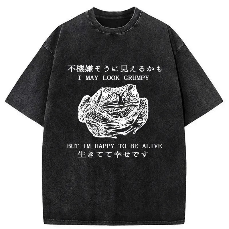 Japanese Calm Frog Washed T-Shirt