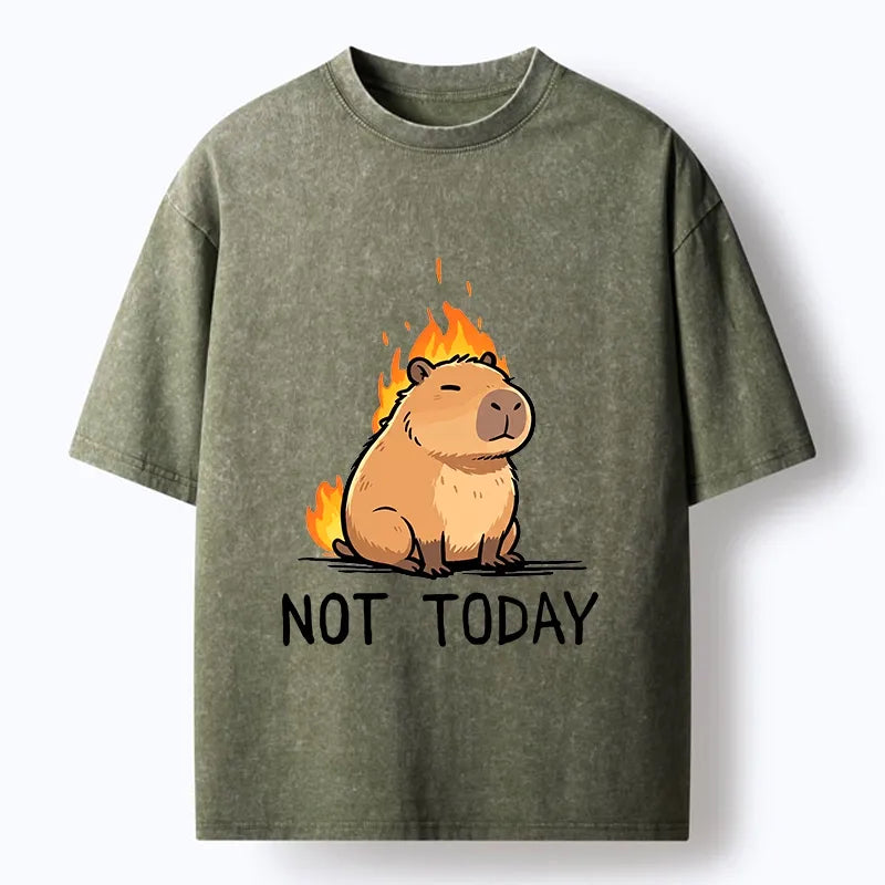 Kyoto-Lion Chill Fire Capybara Washed T-Shirt