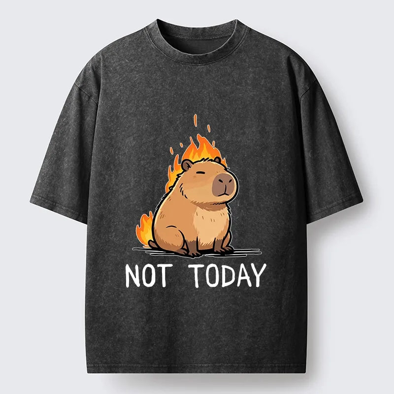 Kyoto-Lion Chill Fire Capybara Washed T-Shirt