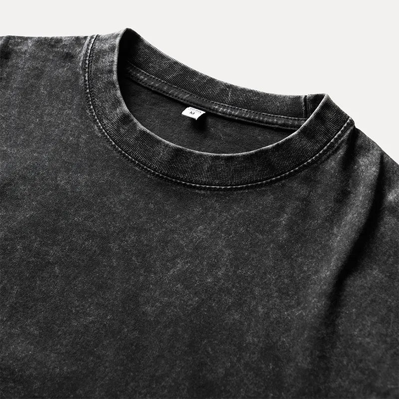 Kyoto-Lion Sarcastic Funny Quote Washed Double Layer T-Shirt