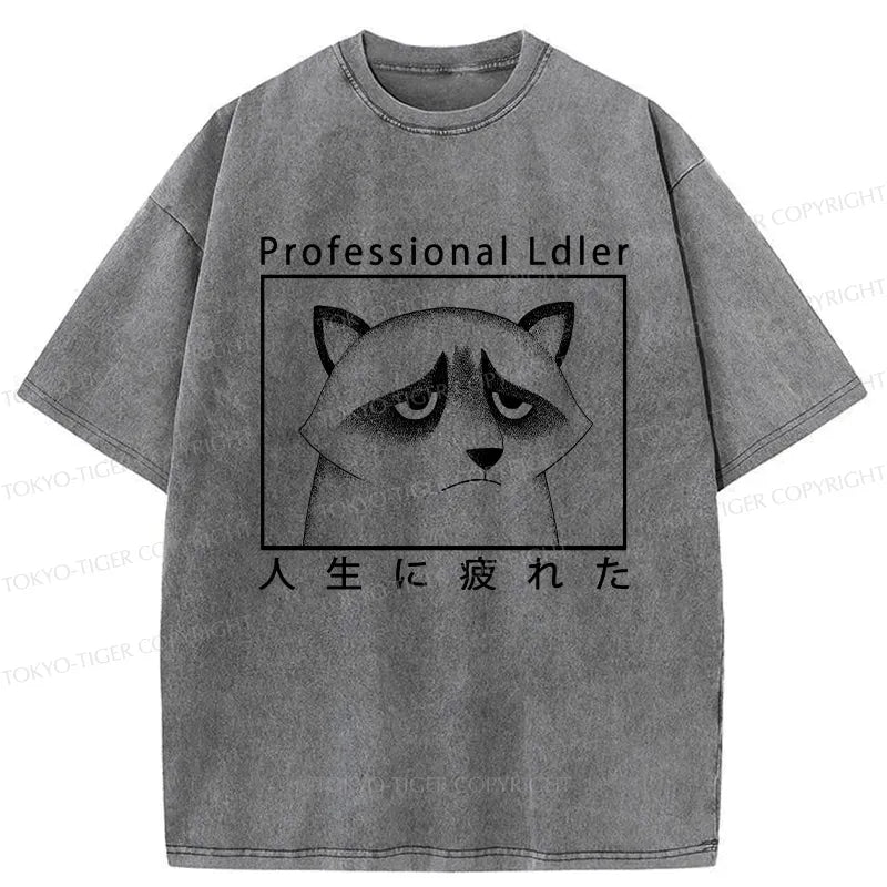 Japanese Raccoon Washed T-Shirt