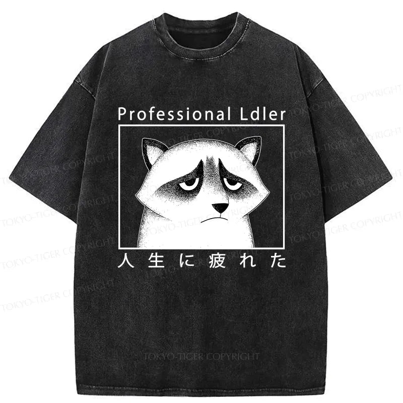 Japanese Raccoon Washed T-Shirt