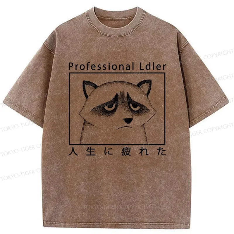 Japanese Raccoon Washed T-Shirt