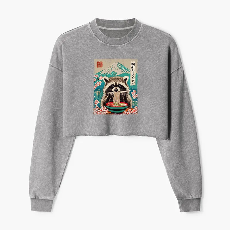 Kyoto-Lion Please Give Raccoon A Discount Washed Crop Sweatshirt